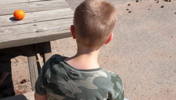 Mp62704830 Barn Sitter Vid En Trabank Utomhus